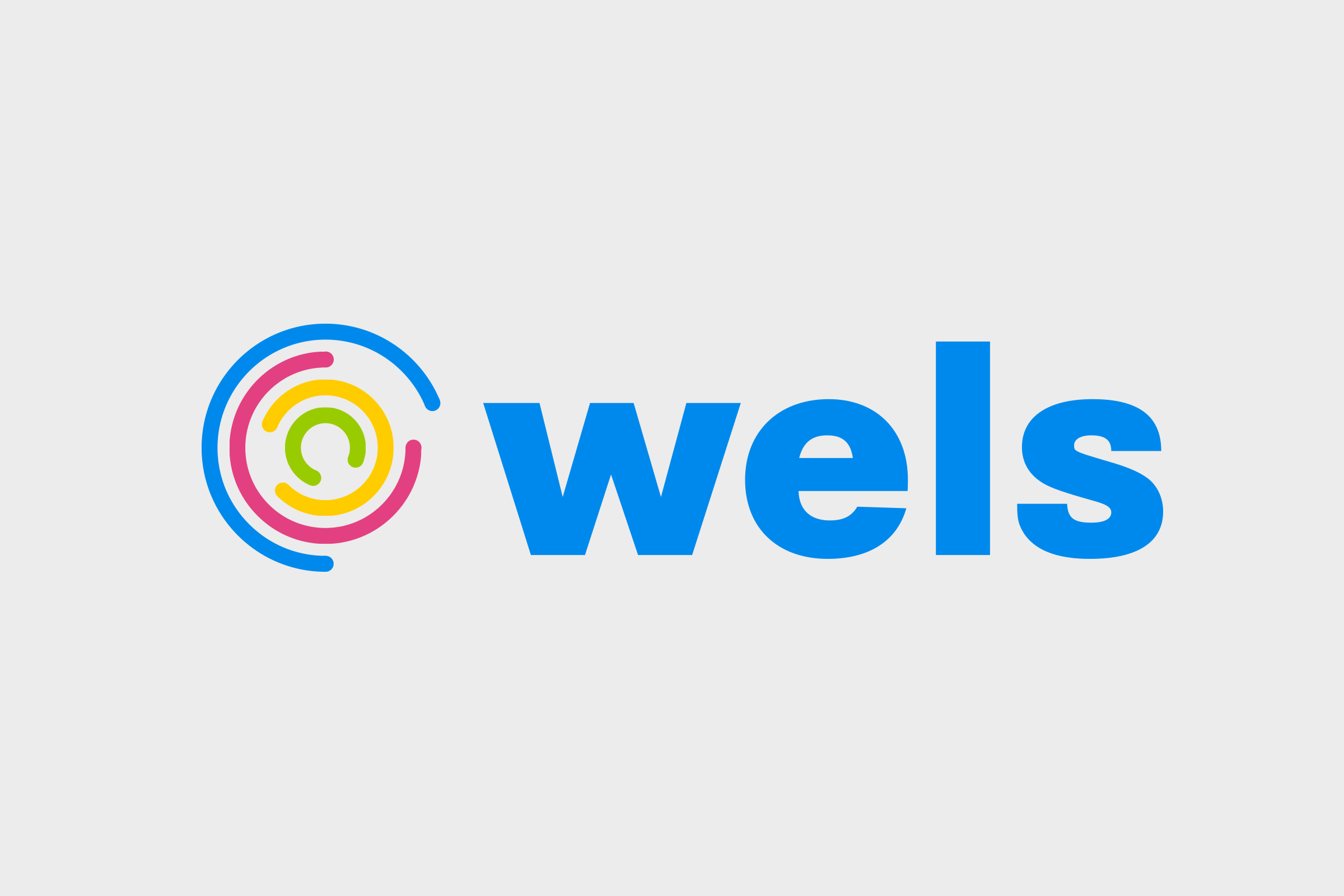 Wels Foundation Branding