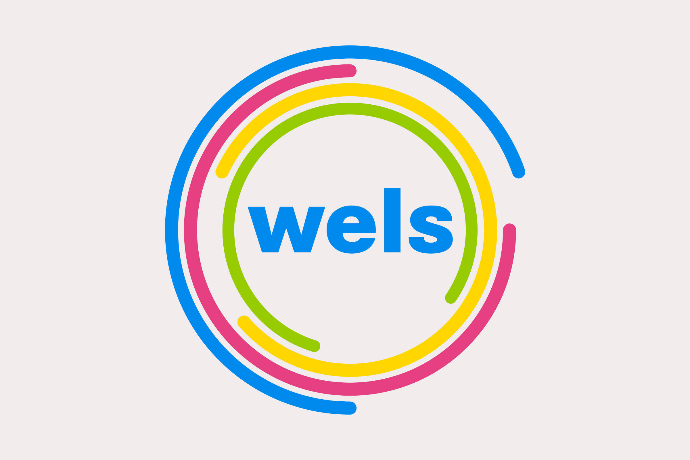 Wels Foundation Logos